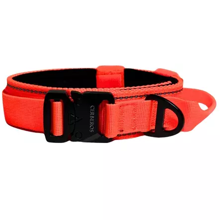 Kahvapanta leveys 5cm oranssi Cerberos - Koiran pika- ja pistolukkopannat - 059047 - 1