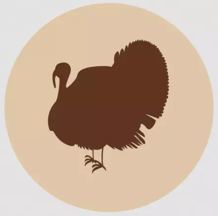 Kalkkuna jauhettu 500g luuton Fanimal - Koiralle pakastelihat ja -elimet - 044167 - 2