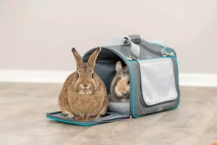 Kantokassi ja pesä Vicky harmaa Trixie - Pieneläinten ulkoilu ja kuljetus - 048137 - 1