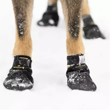 Koiran tossut Arctic Protect 4x musta V.I.P Dogwear - Koiran tossut, sukat ja korvasuojat - 056117 - 2