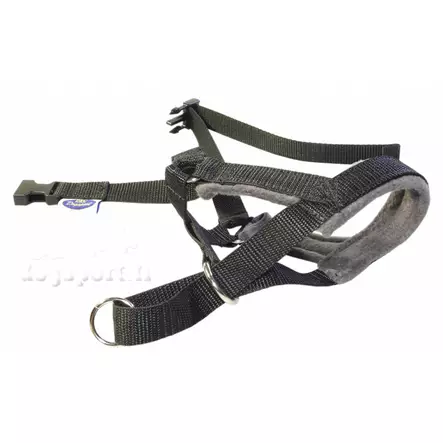 Kuonopanta pehmustettu D&C - Koiran kuonopannat - 047457 - 2