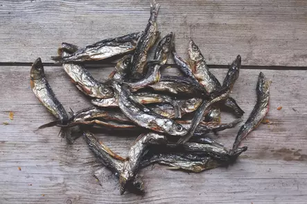 Kuore Muikku mix kuivattu kotimainen kilohinta Eväkäs - Koiran herkut ja makupalat - 053967 - 1