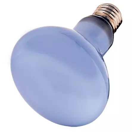 Lämpölamppu Neodymion Daylight Eco UV-A 42W Hobby - Terraarion tarvikkeet ja kuivikkeet - 059167 - 2