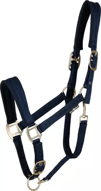 Nylonriimu Diya 2.0 XXFULL navy HorseGuard - Hevosen nylonriimut - 057587 - 1