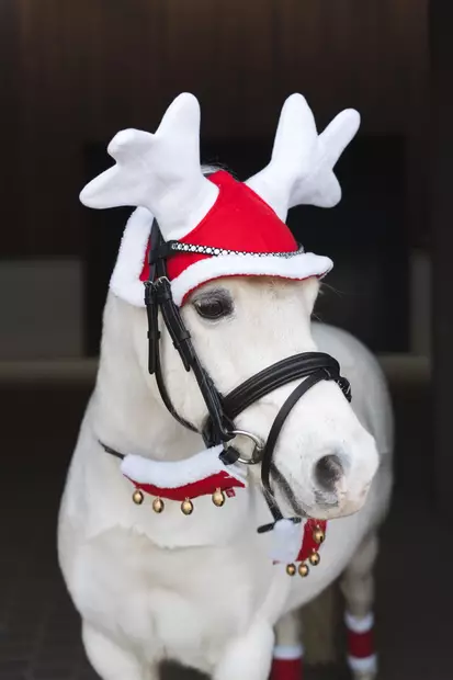 Ohjakoristeet Xmas kilikelloilla puna-valkoiset HorseGuard - Ratsuhevosen suitset ja turpahihnat - 054727 - 2