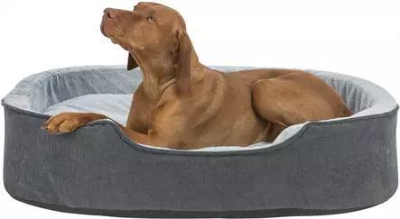 Ortopedinen reunapeti Vital Lino Soft vaaleanharmaa-tummanharmaa Trixie - Koiran reunalliset pedit - 056237 - 2