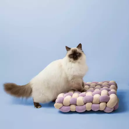 Pehmotyyny punottu Velvet Vibe 40x40x9,5cm lila-beige Coockoo - Kissan alustat ja matot - 054257 - 2