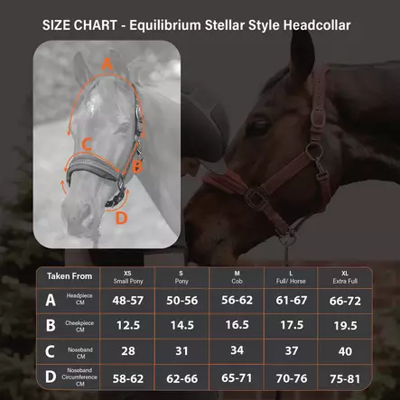 Pehmustettu riimu Stellar Style turvamekanismilla musta Equilibrium - Hevosen nylonriimut - 052697 - 2