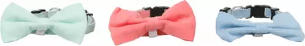 Pistolukkopanta irrotettavalla rusetilla Elfi XS 20-35cm 10mm värimix Flamingo - Koiran pika- ja pistolukkopannat - 056807 - 1