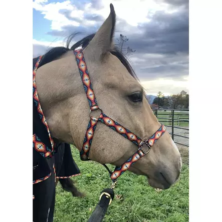 Nylonriimu Aztec FULL Schulz Equine - Hevosen nylonriimut - 056637 - 2