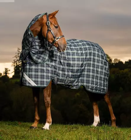 Toppaloimi Rhino Plus irrotettavalla kaulakappaleella 100g Hunter Check/Green & Navy Horseware - Hevosen toppaloimet ulkoiluun - 059517 - 1
