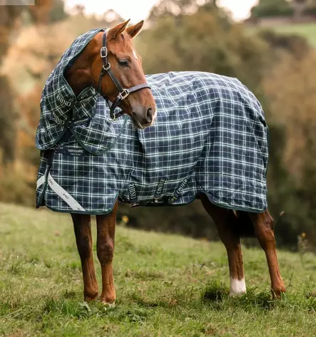 Toppaloimi Rhino Plus irrotettavalla kaulakappaleella 100g Hunter Check/Green & Navy Horseware - Hevosen toppaloimet ulkoiluun - 059517 - 2