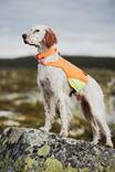 Huomioliivi Protector cover oranssi Non-stop dogwear - Koiran heijastimet ja turvavalot - 007367 - 6