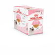 Kitten Jelly 12x85g hyytelö Royal Canin - Kissanpennun säilykkeet ja kasvatusruoat - 000597 - 2