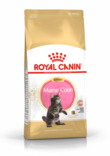 Maine Coon Kitten Royal Canin - Kissan kuivaruoat pennut ja kasvatus - 000497 - 2