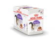 Sterilised Gravy 12x85g kastike Royal Canin - Aikuisten kissojen säilykkeet - 000607 - 4