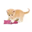 Kissanlelu Kitten Kickeroo 13cm KONG - Kissan pehmolelut - 000377 - 2