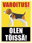 Kyltti Varoitus! Olen töissä! Beagle - Varoitus- ja huomiokyltit - 053437 - 1