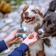 Ankka viljaton treenimakkara 80g PrimaDog - Koiran herkut ja makupalat - 059017 - 2