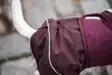 ArcticPomppa Maroon - Koiran manttelit - 059827 - 9