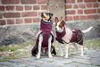 ArcticPomppa Maroon - Koiran manttelit - 059827 - 6