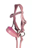 Kepparin nahkaiset suitset pinkki Hobby Horsing HKM-sports - Koti ja sisustus - 059207 - 1