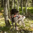 Koiran huomioliivi Trakk rintasuojalla musta-oranssi Back on Track - Koiran heijastimet ja turvavalot - 054757 - 8