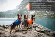 Koiran sadetakki Fjord vihreä Non-Stop dogwear - Koiran manttelit - 046427 - 2