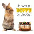 Kortti 13,7x13,7cm Have a Hoppy Birthday! / pupu - Lahjatavarat - 059127 - 1