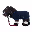 Leikkihevosen tarvikesetti Cuddle Pony deep blue HKM-sports - Koti ja sisustus - 057757 - 2