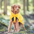 KuoriPomppa Lemonade - Koiran manttelit - 054827 - 2