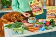 Lamb Fresh Frozen 800g Nutriment - Pakaste täys- ja täydennysravinnot - 058997 - 5