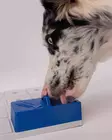 Lisäpala Oli aktivointipeliin sininen 12x12x4,5cm Pawzler - Koiran aktivointilelut - 059887 - 2