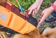 Pelastusliivi Protector Life jacket Non-stop dogwear - Koiran pelastusliivit ja kelluntapuvut - 045077 - 8