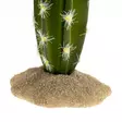 Tekokaktus Columnar 2 pylväskaktus Terra Della - Terraarion tarvikkeet ja kuivikkeet - 059437 - 2