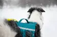 Y-valjas RAMBLE long teal Non-stop dogwear - Koiran Y-valjaat - 057207 - 6