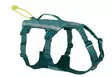 Y-valjas RAMBLE long teal Non-stop dogwear - Koiran Y-valjaat - 057207 - 1