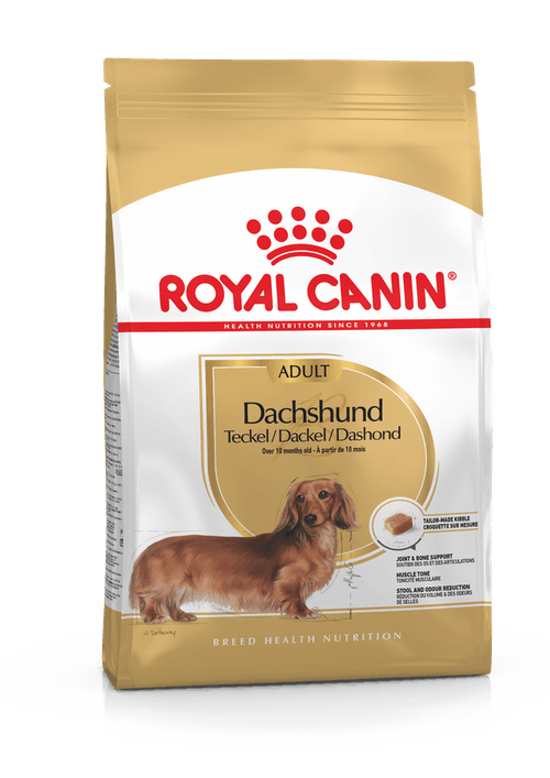 Dachshund Adult Royal Canin - Koiran kuivaruoat aikuisille koirille - 000887 - 1