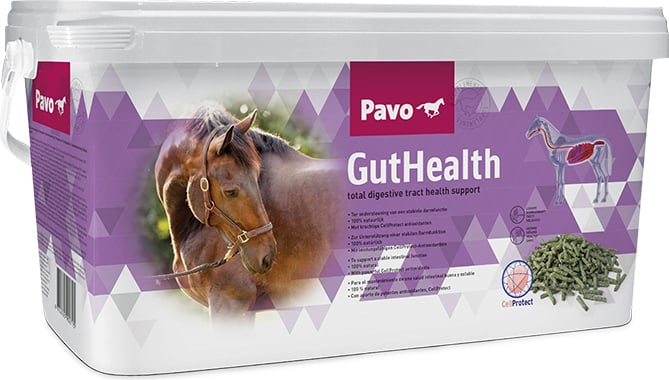 GutHealth 7,5kg ruoansulatukselle Pavo - Lisäravinteet hevosen ruoansulatukselle - 018067 - 1