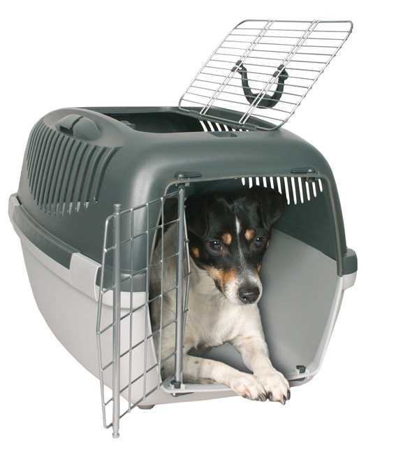 Kantoboxi Capri3 OpenTop turvavyönpidikkeellä 40x38x61cm Trixie - Koiran muoviboxit - 018327 - 1