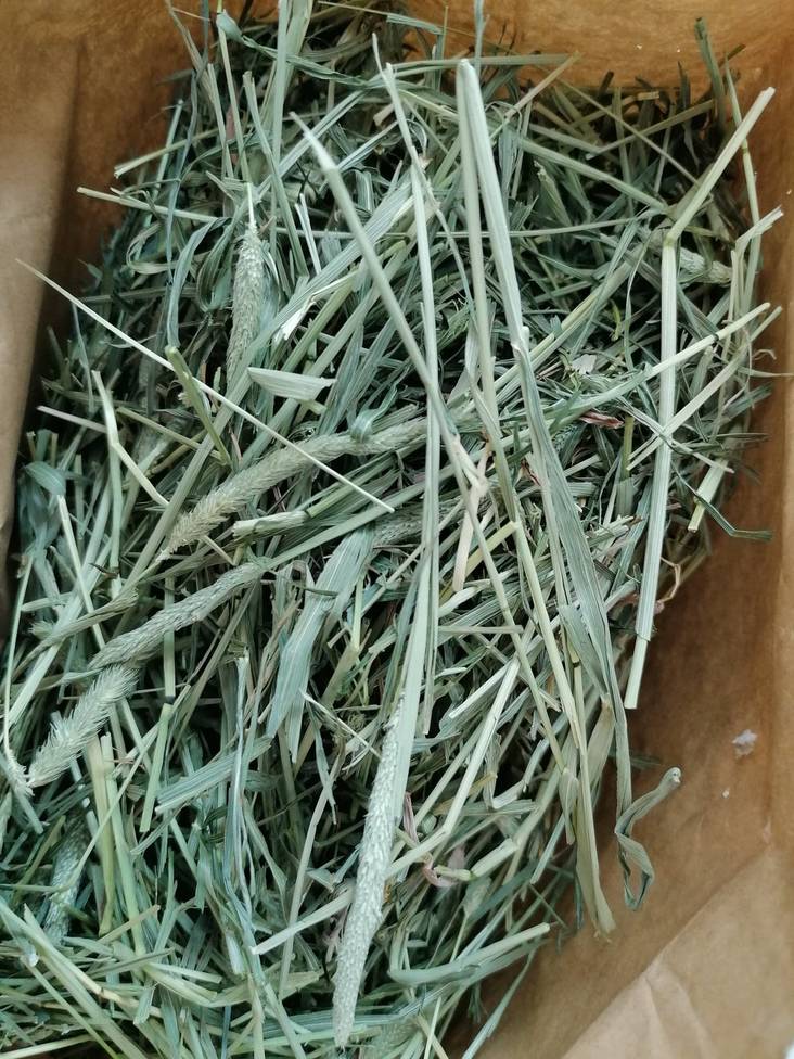 Kesäheinä kotimainen Tarmo Kosonen - Pieneläinten heinät ja korsirehut - 006397 - 1