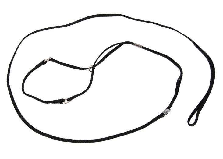 Näyttelytalutin Comfort 0,5x98cm musta Show Tech - Koiran näyttelytaluttimet - 029777 - 1