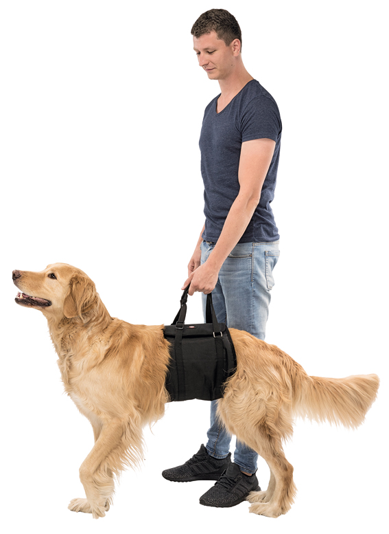 Nostoapu M 60-65cm musta Trixie - Koiran kärryt ja trolleyt - 037107 - 1