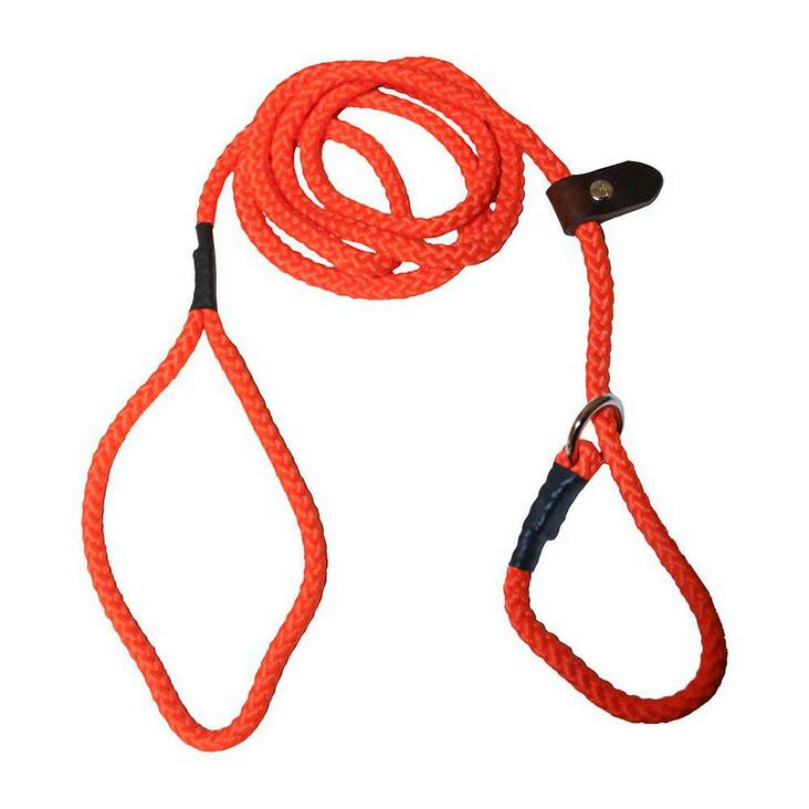 Noutajatalutin 10mm/190cm nylon oranssi ALAC - Koiran noutajataluttimet - 039657 - 1