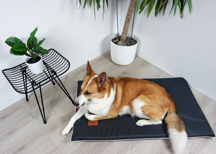 Patja Luxus Kaloinen L 120x75x5cm antrasiitti Tujoma MemoryFoam - Koiran patjat - 032347 - 1