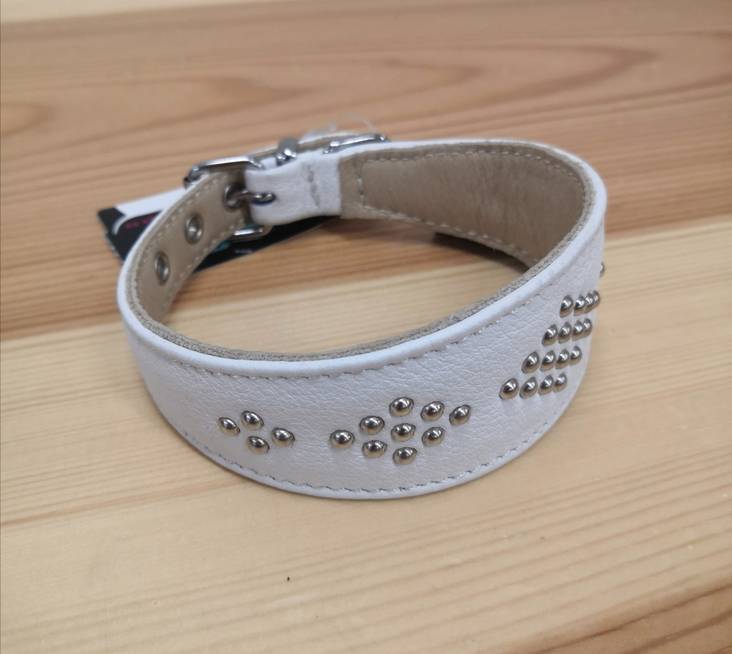 Vinttikoirapanta nastoilla 25cm eri värejä Onega - Koiran solkipannat - 033367 - 1