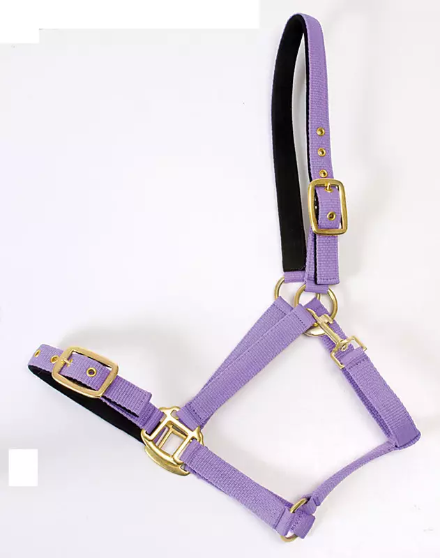 Nylonriimu Avery turvalta avattava lila Horse Comfort - Hevosen nylonriimut - 006557 - 1