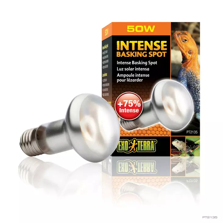 Intense Basking Spot 50W S20 E27 ExoTerra - Terraarion tarvikkeet ja kuivikkeet - 038947 - 1
