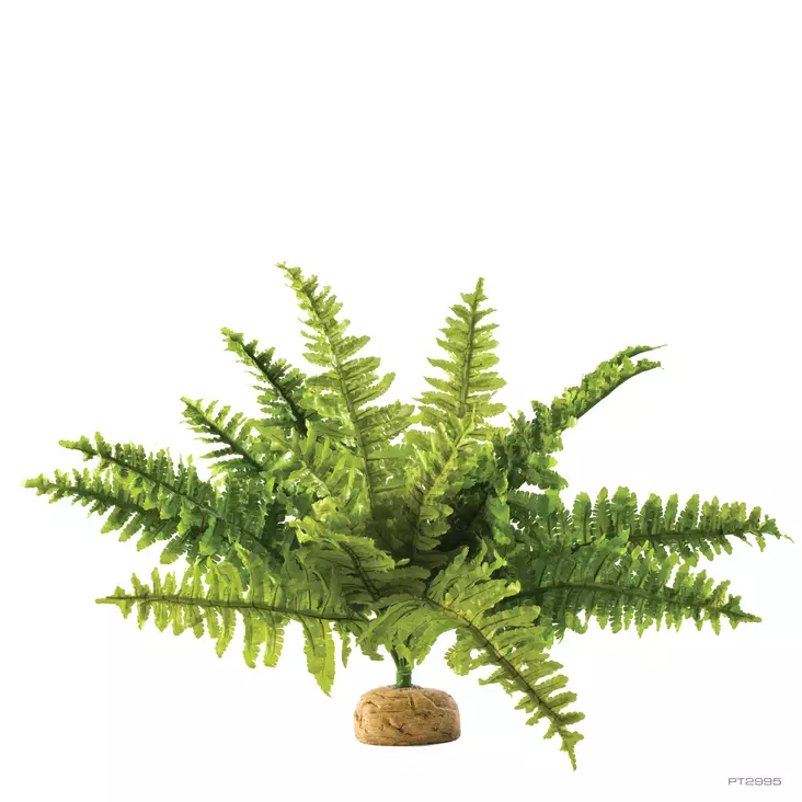 Tekosaniainen Boston Fern M 36x36x26cm ExoTerra - Terraarion tarvikkeet ja kuivikkeet - 042067 - 1