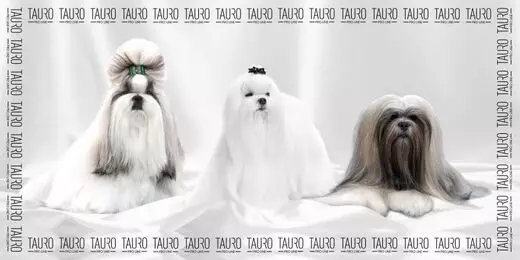 Mikrokuitupyyhe 80x160cm kääpiökoirat Tauro Pro Line Premium - Koiran pyyhkeet ja kuivatusmanttelit - 053527 - 1